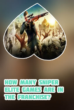Sniper elite pc game